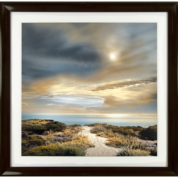William Vanscoy Sense Of Direction Framed Print