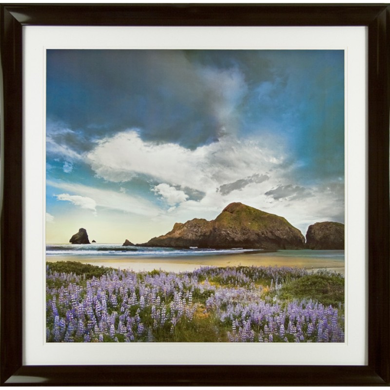 William Vanscoy Sweet Illusion Framed Print