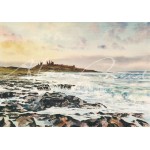 Alan Reed - Dunstanburgh Castle, Northumberland