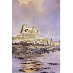 Alan Reed - Lindisfarne Castle, Northumberland 2 