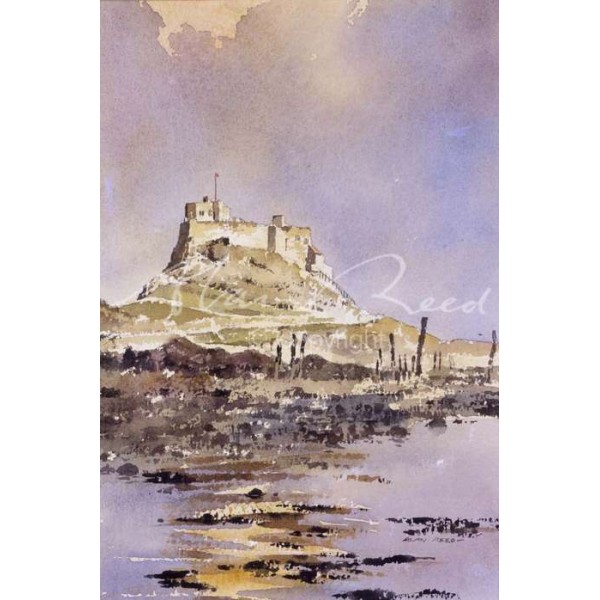 Alan Reed - Lindisfarne Castle, Northumberland 2 