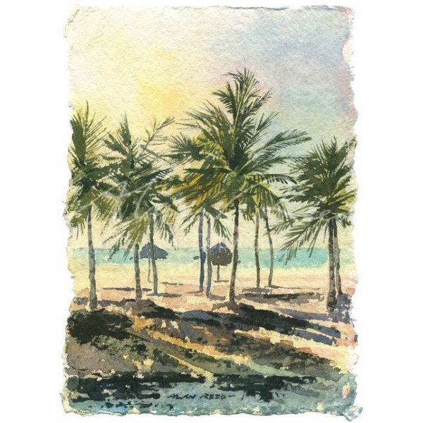 Alan Reed - Sunset Palms, Oman  