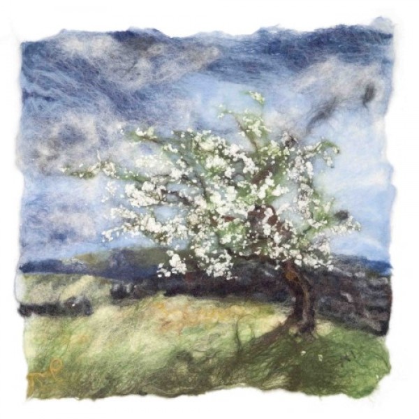 Andrea Hunter - Spring Hawthorn