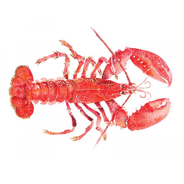 Angie Horder - Lobster II