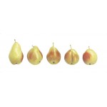 Ann Swan - 5 Pears
