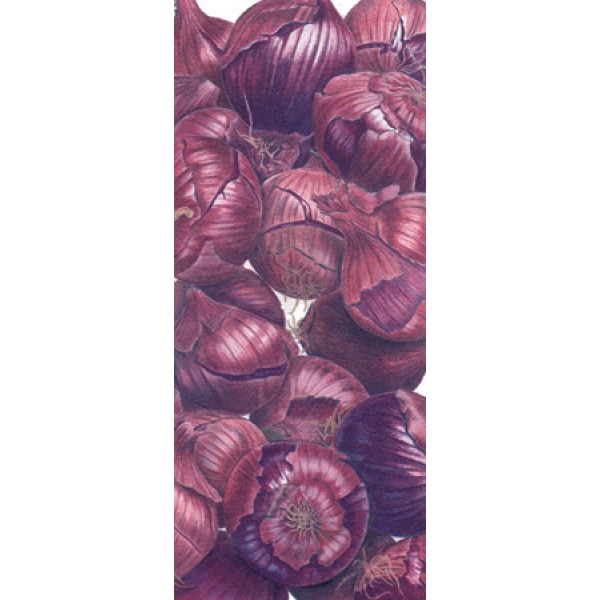 Ann Swan - Purple Onions