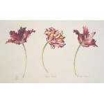 Annabel Fairfax - Mauve Tulips