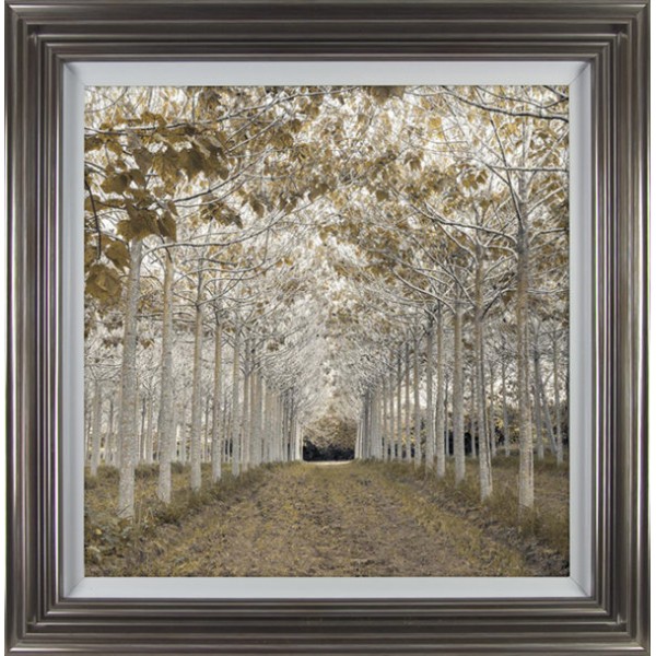 Assaf Frank - White Gold Framed Print 