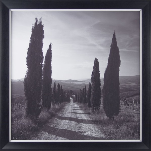 Charlie Waite - Mensano Tuscany Framed Print 