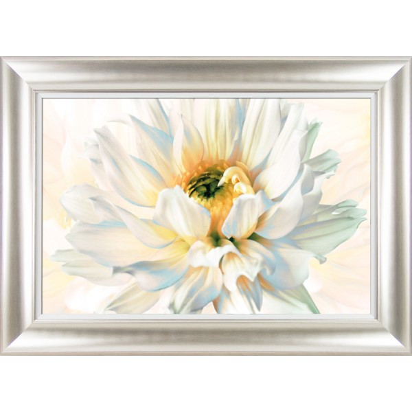 Christine Elizabeth - Painted Petals II Framed Print