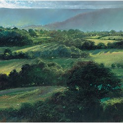 Crispin Thornton-Jones - View from Fair Oak