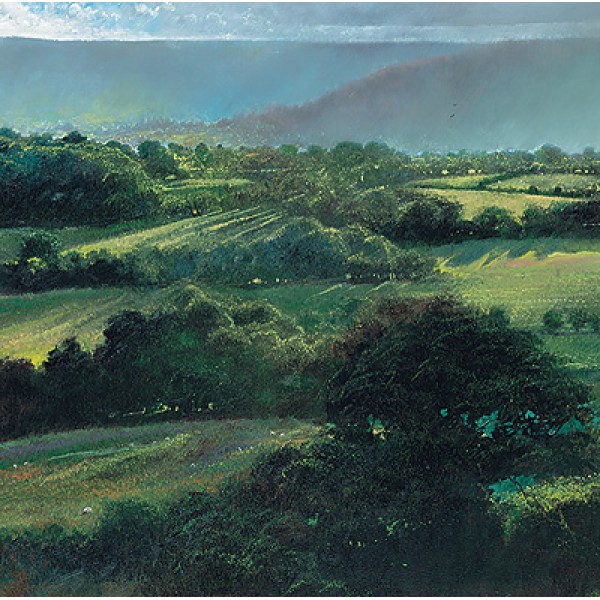 Crispin Thornton-Jones - View from Fair Oak