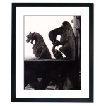 Gargoyle figures at the church of Notre Dame in Paris Framed Print