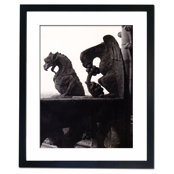 Gargoyle figures at the church of Notre Dame in Paris Framed Print