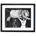 Lion at the Bertram Mills Circus Framed Print