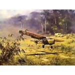 David Shepherd - 656 Squadron, Auster in North Malaya 1962