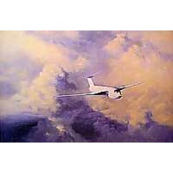 David Shepherd - Afternoon Flight Victor