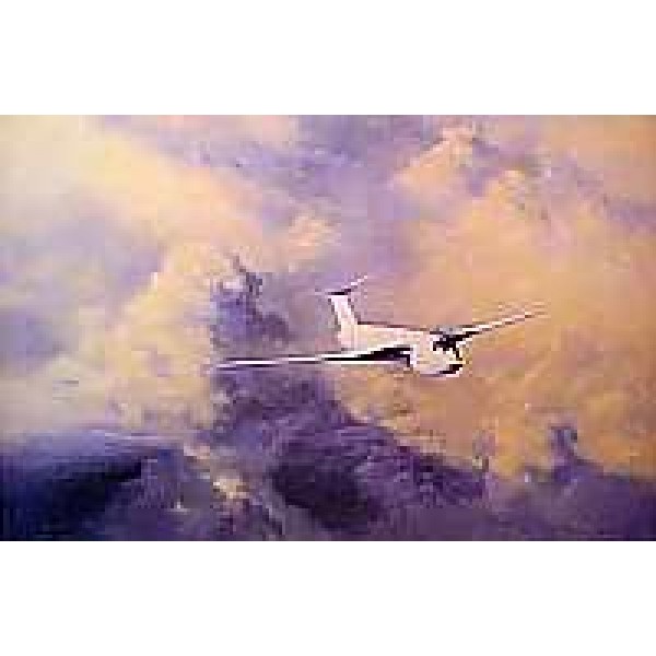 David Shepherd - Afternoon Flight Victor