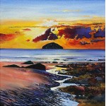 Davy Brown - Ailsa Craig   