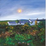 Davy Brown - Cornish Cottages