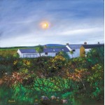 Davy Brown - Cornish Cottages