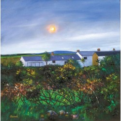 Davy Brown - Cornish Cottages