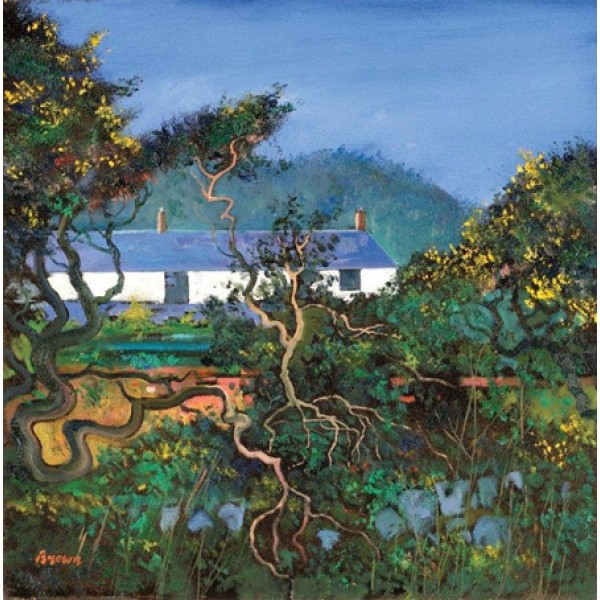 Davy Brown - Cottages with Gorse Bushes