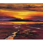 Davy Brown - Fading Sun, Arran