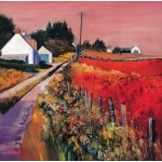 Davy Brown - Galloway Village Farm Tracks