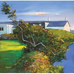 Davy Brown - Last of the Daylight