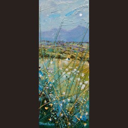 Deborah Phillips - Highland Perthshire Flock  Deborah Phillips - Highland Perthshire Flock