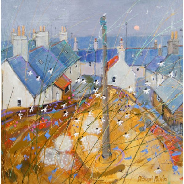 Deborah Phillips - Portsoy Daisies