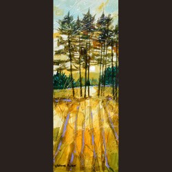 Deborah Phillips - Tall Tree Shadows  Deborah Phillips - Tall Tree Shadows