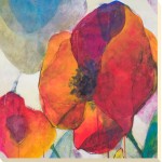 Doug Kennedy - Poppy Trio II Canvas Print 