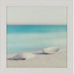Sea Shell I Framed Print