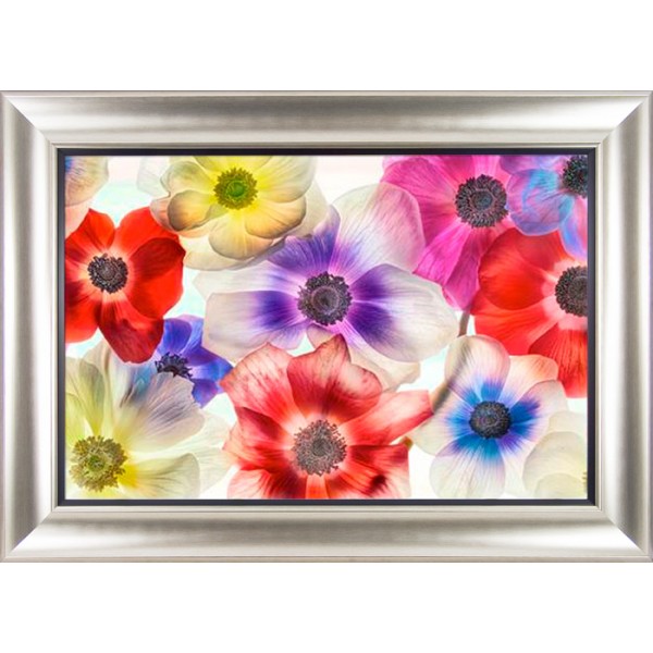 Harold Davis - Vibrance II Framed Print