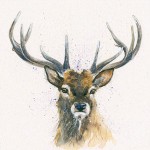 Kay Johns - His Lordship (Stag) 
