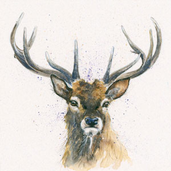 Kay Johns - His Lordship (Stag) 