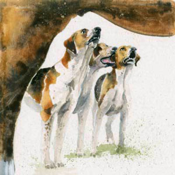 Kay Johns - Hunt Master (Fox Hounds) 