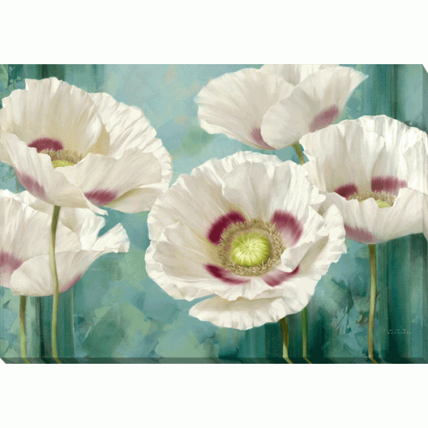 Igor Levashov - Tasmanian Poppies I Canvas Print 