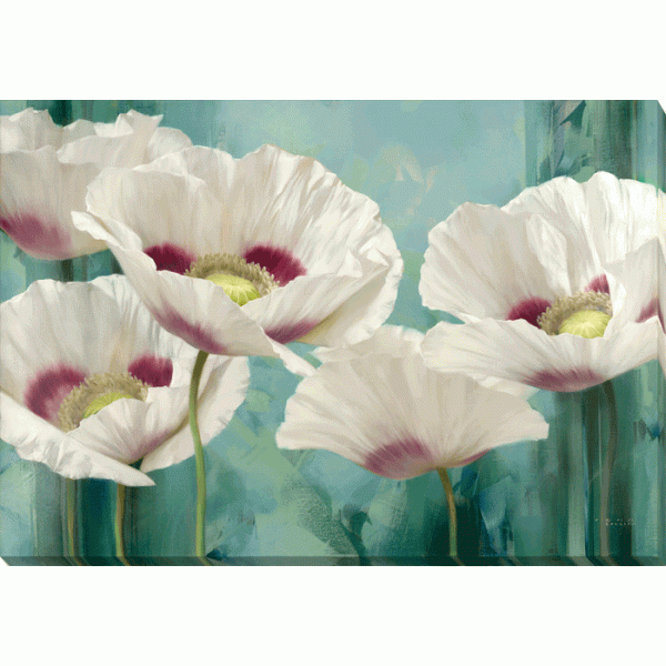 Igor Levashov - Tasmanian Poppies II Canvas Print 