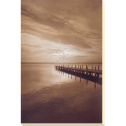 Ily Szilagyi  - Come With Me Canvas Print 