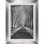 Ily Szilagyi  - Follow Me Framed Print 