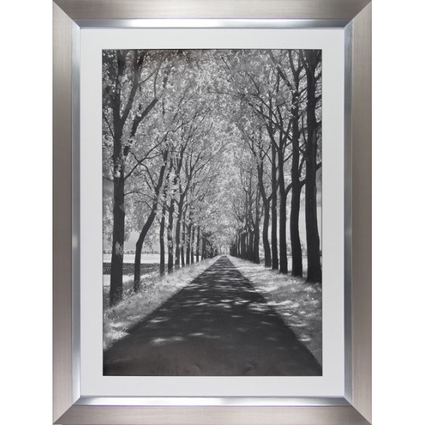 Ily Szilagyi  - Follow Me Framed Print 