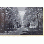 Ily Szilagyi  - Sublime Canvas Print 