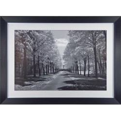 Ily Szilagyi  - Sublime Framed Print 