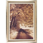 Ily Szilagyi  - The Path Ahead Framed Print 