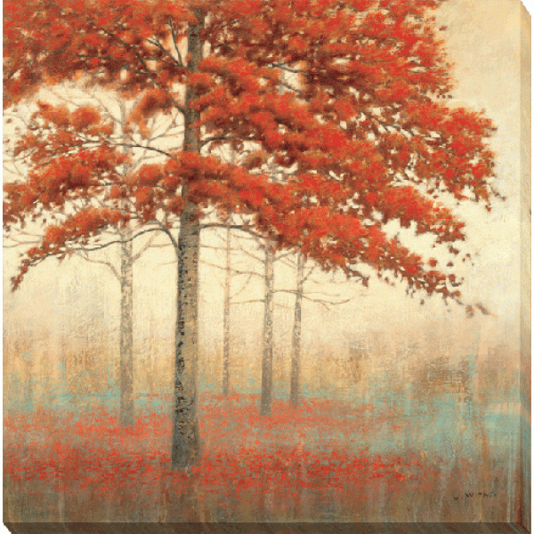James Wiens - Autumn Trees Box Canvas 