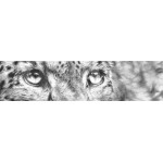 Jamie Boots - Cold Stare (Snow Leopard) 