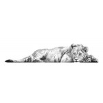 Jamie Boots - Daydreamer (African Lion) 